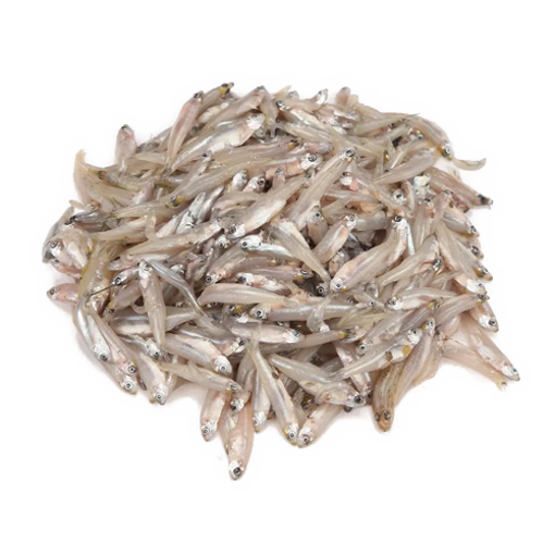 Kachki Fish 1 To 2 Kg