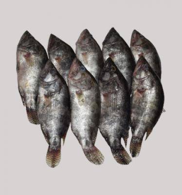 Meni Fish (500gm)