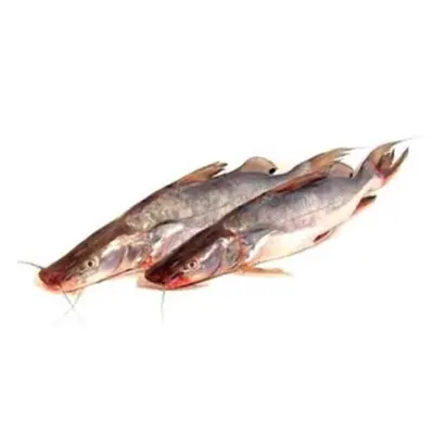 Ayer Fish (small) 1 To 2 Kg