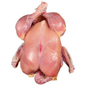 Broiler Chicken 