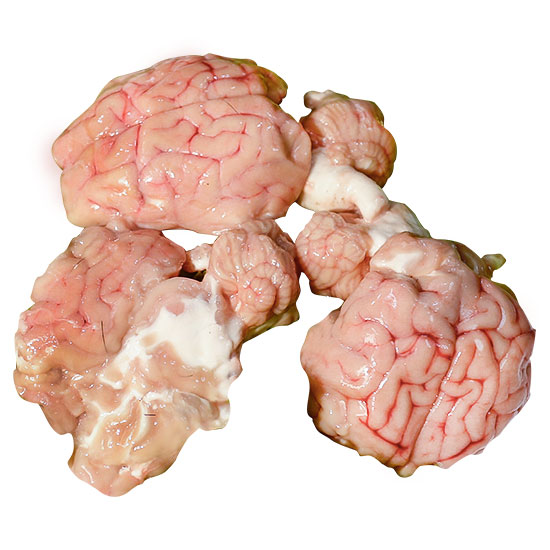  Mutton Brain