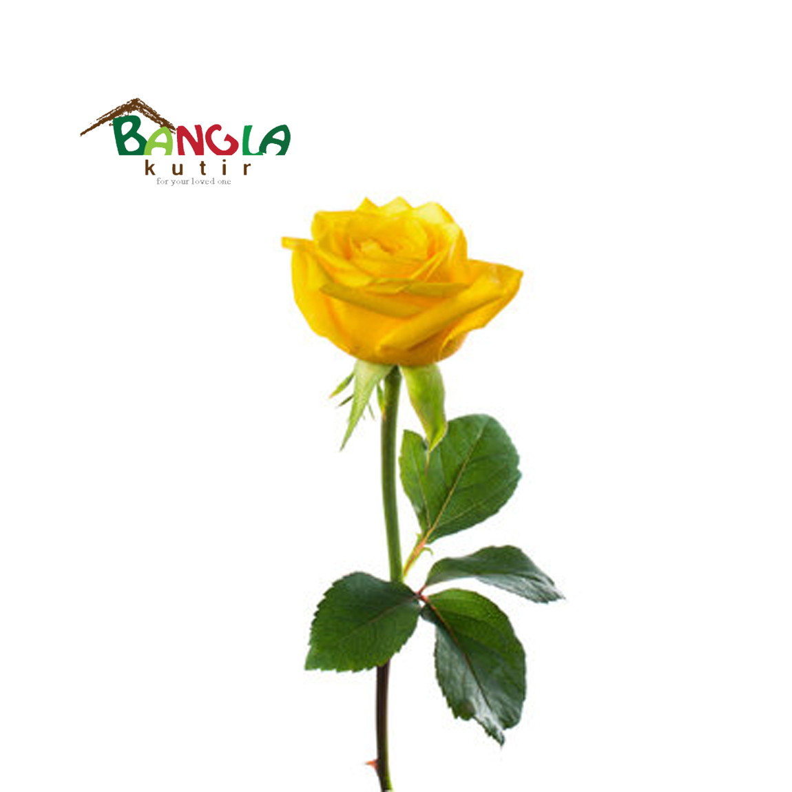 Single Yellow Rose