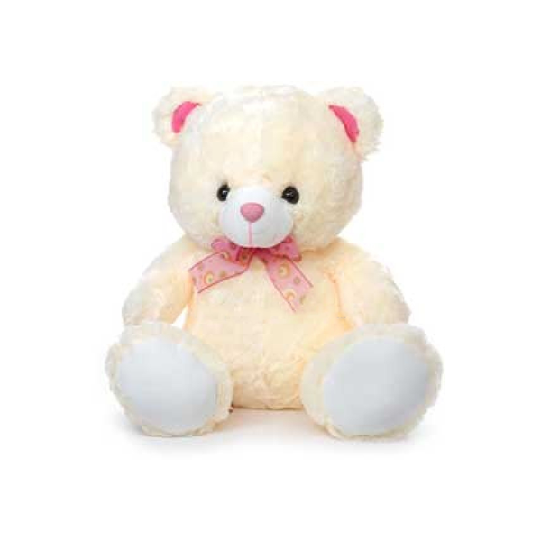 Teddy Bear 25