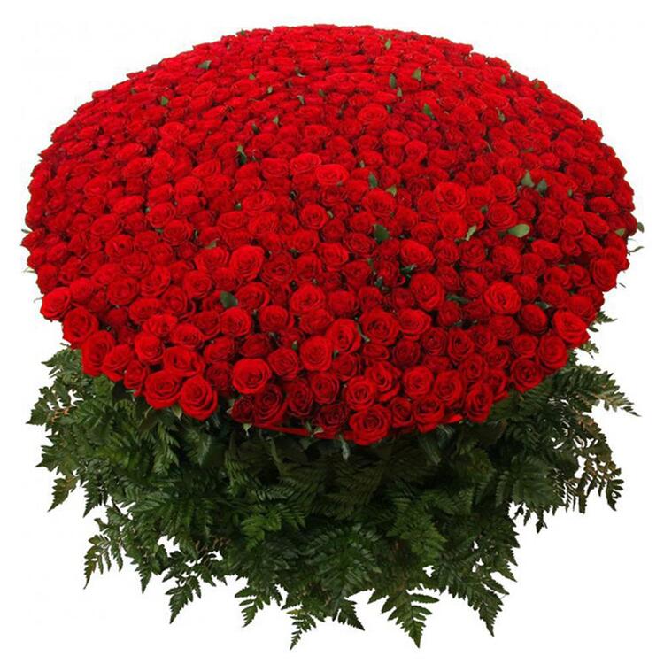 Rose Arrangement Round Shape