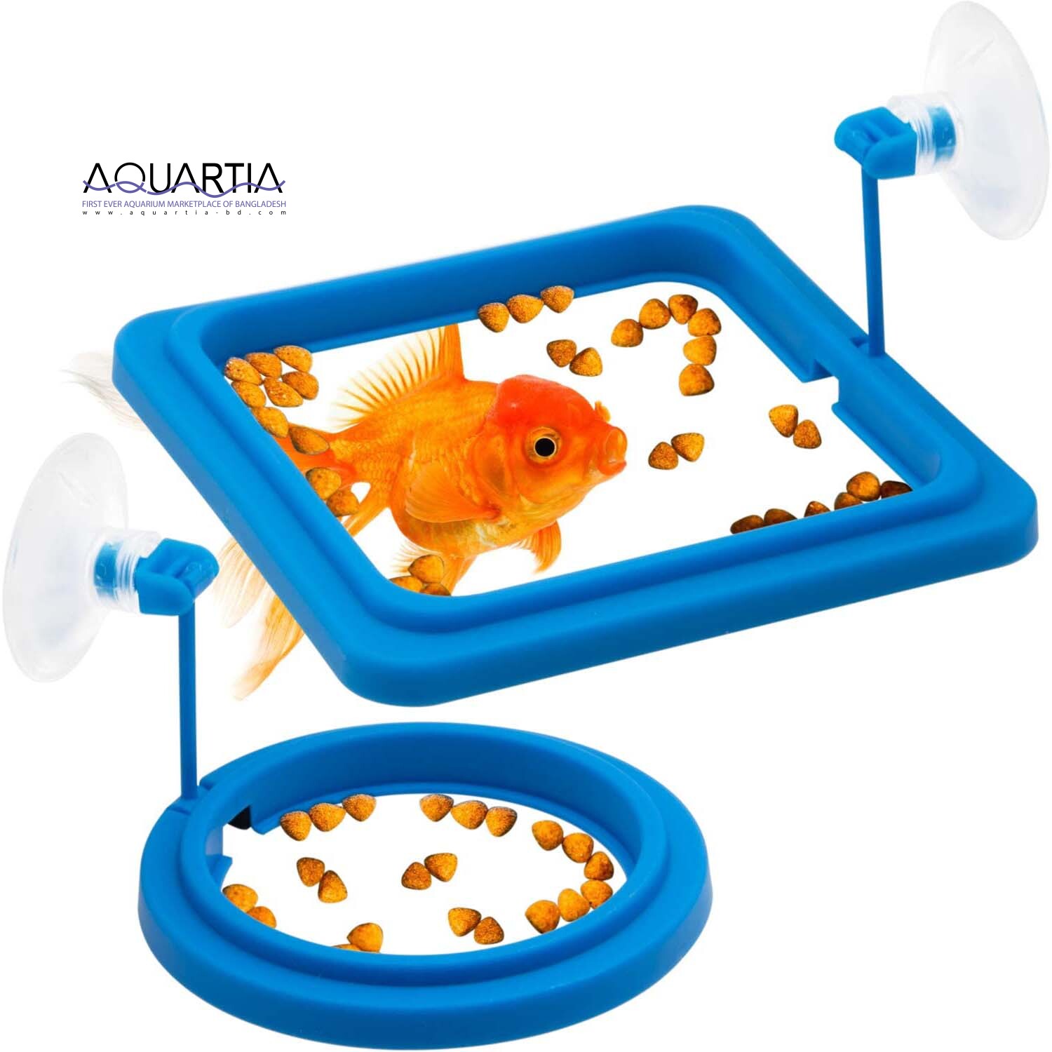 Fish Feeding Ring (4inch)