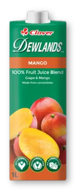 Dewlands Mango Juice 1000ml