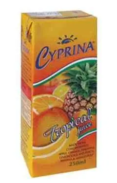 Cyprina Tropical Juice 250ml