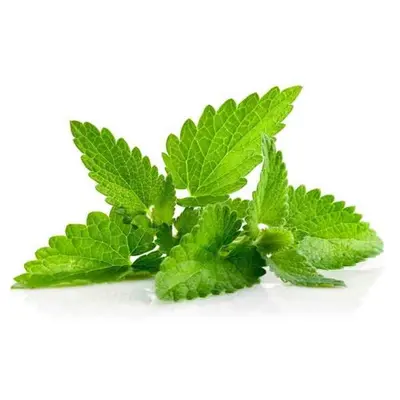 Mint Leaf 250gm