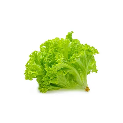 Lettuce Leaf 250gm