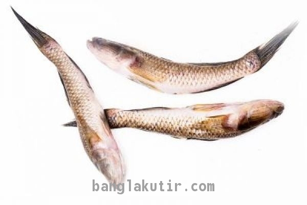 Bele Fish 1 Kg