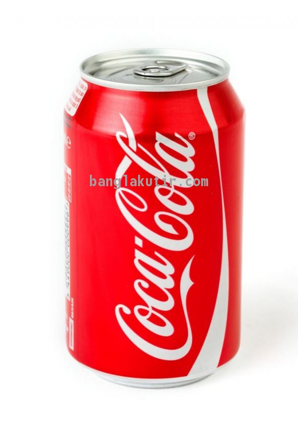 Coca Cola Soft Drink Can 250 Ml (2pcs)