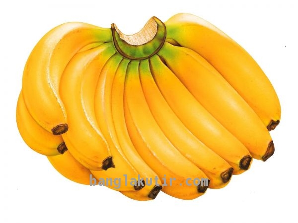 Sagor Banana 12pcs,