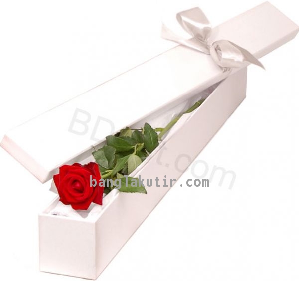 1 Piece Red Rose In A Box