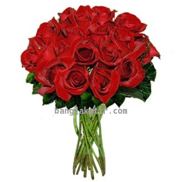 18 Red Roses