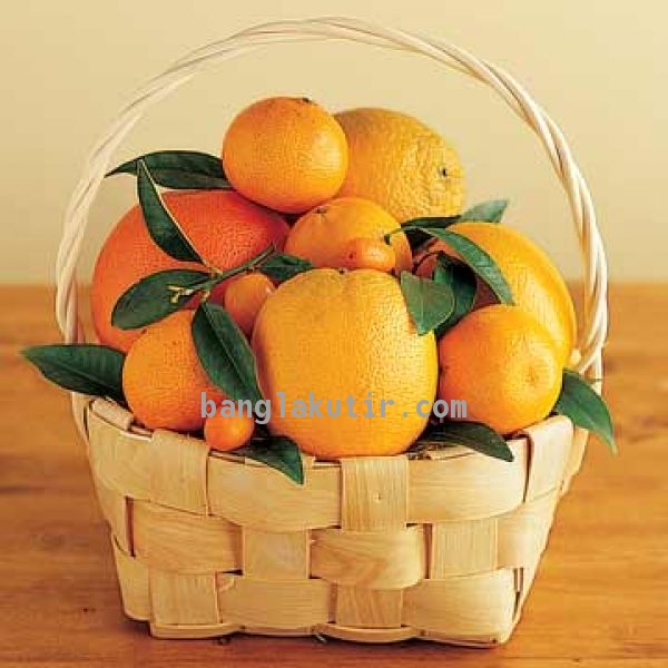 Fruits Basket malta Banglakutir